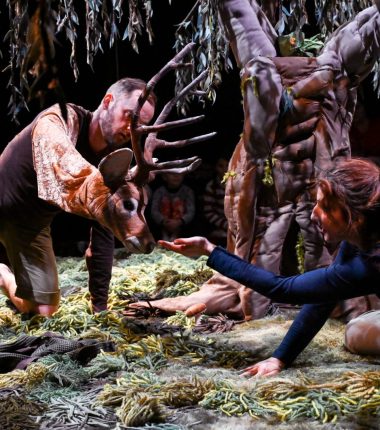 Les Hivernales – « Sous l&rsquo;arbre »