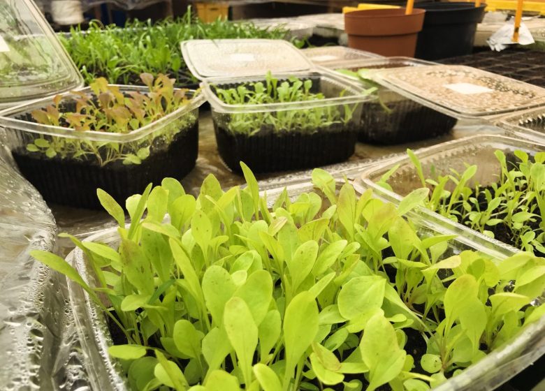 Visites producteurs – Jardins de la Vrignaie
