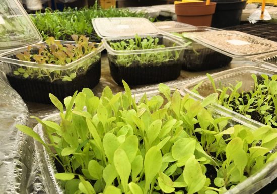 Les Jardins de la Vrignaie