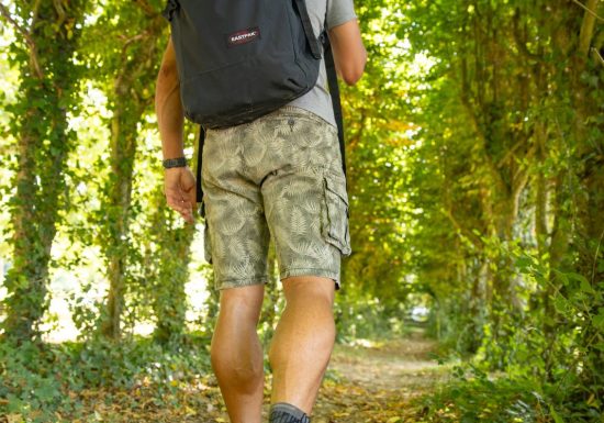 Sentier La Bardonnière