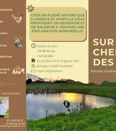 Retraite bien-être