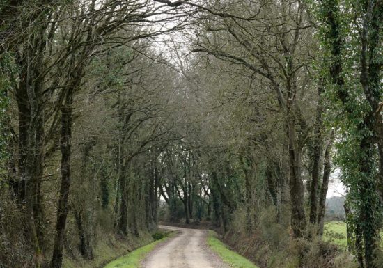 Sentier du Bois Neuf