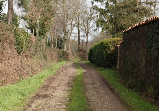Sentier du Bois Neuf