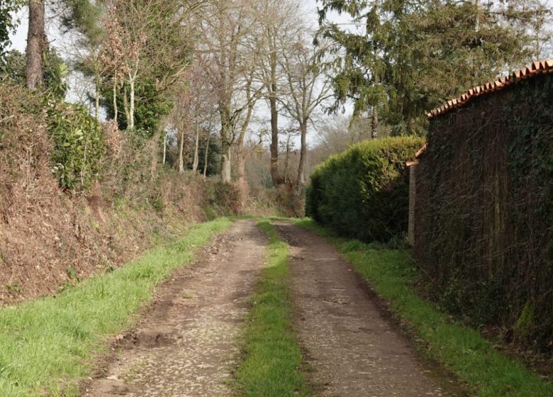 SENTIER DU BOIS NEUF