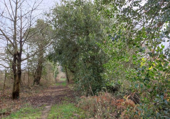 Sentier du Coudray