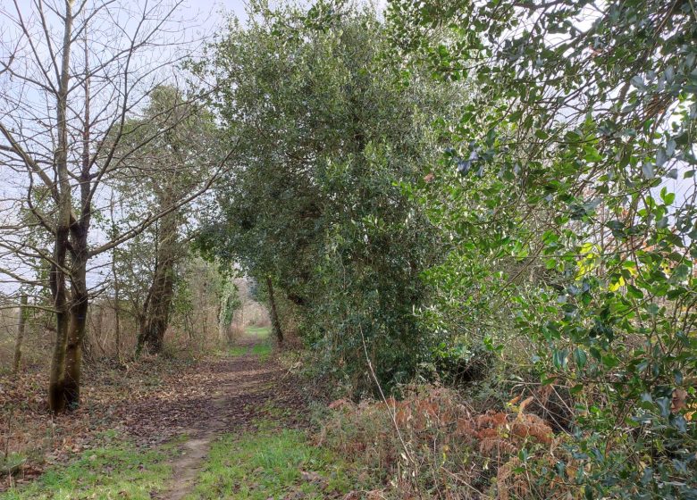 SENTIER DU COUDRAY