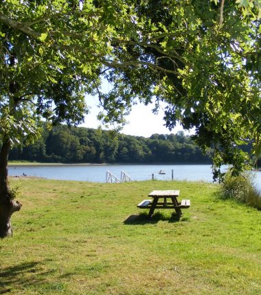 Aire de pique-nique de La Baudrière