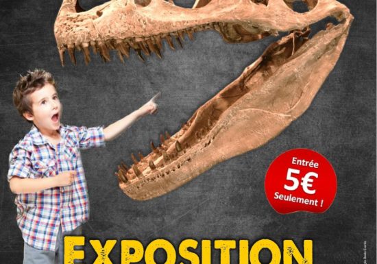 Exposition Dinosaures