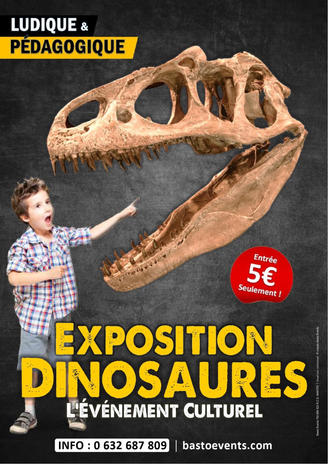 Exposition Dinosaures