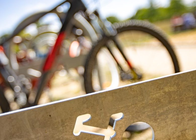 Boucle Vendée Vélo – Brises iodées et sentiers bocagers