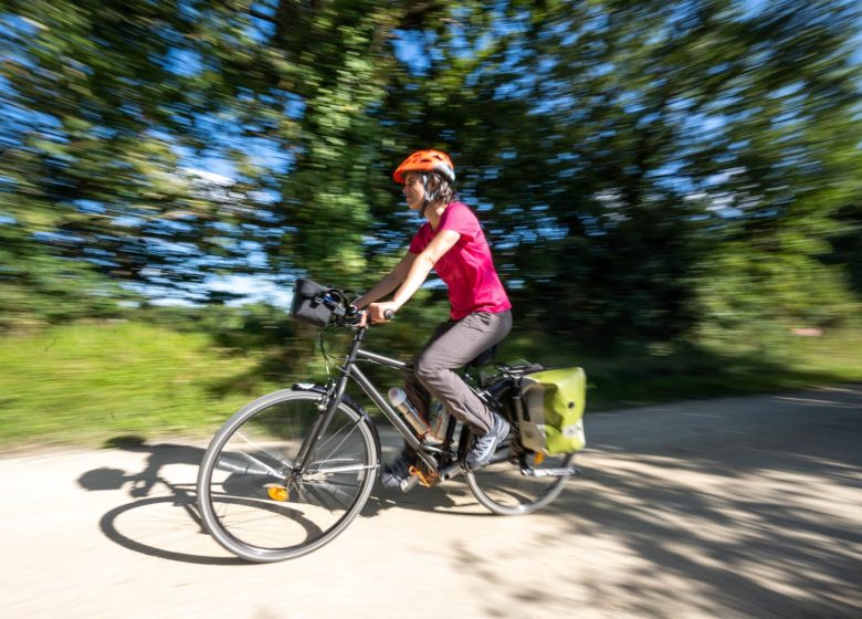 Boucle Vendée Vélo – Brises iodées et sentiers bocagers