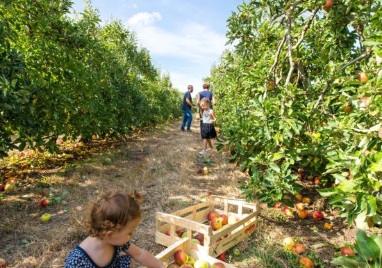 Visitez nos entreprises – Les Vergers de la Malvergne