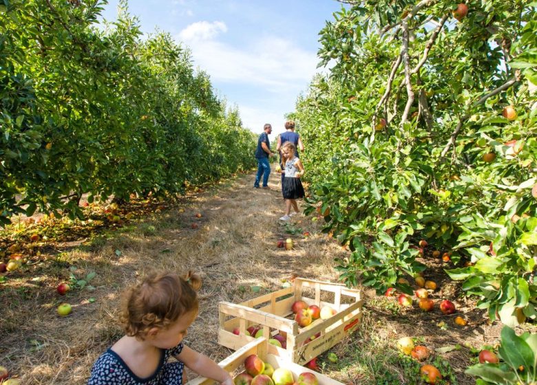 Visitez nos entreprises – Les Vergers de la Malvergne