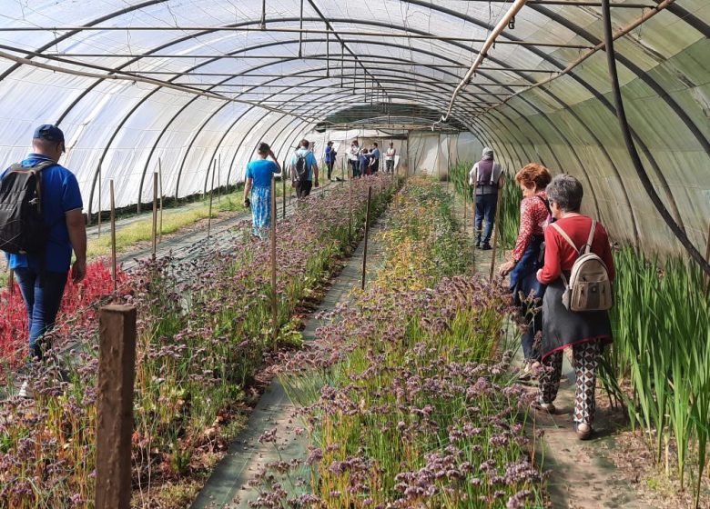 Visites producteurs – Ferme florale Les Singulières