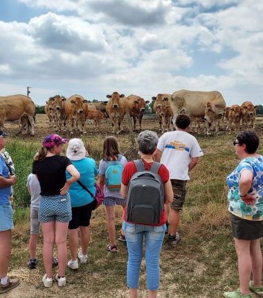 Visites producteurs – Ferme des Caliméros