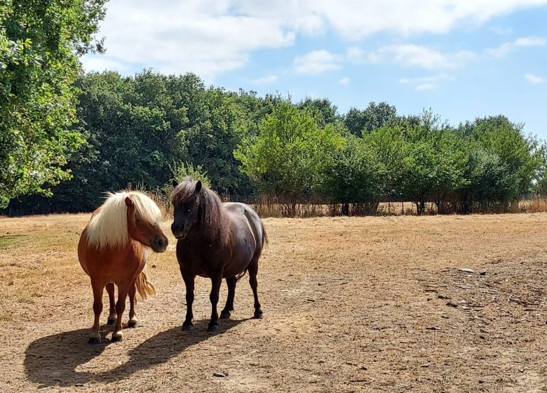 PRODUCER VISITS – CALIMÉROS FARM