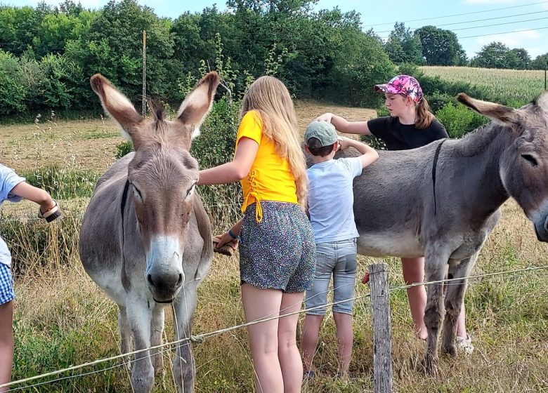 BEZOEKEN VAN DE PRODUCENTEN – BOERDERIJ CALIMÉROS