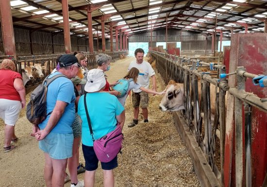 Visites producteurs – Ferme des Caliméros