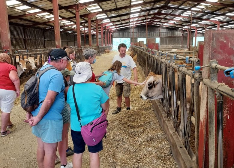 PRODUCER VISITS – CALIMÉROS FARM