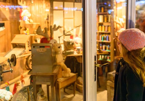 Les vitrines animées