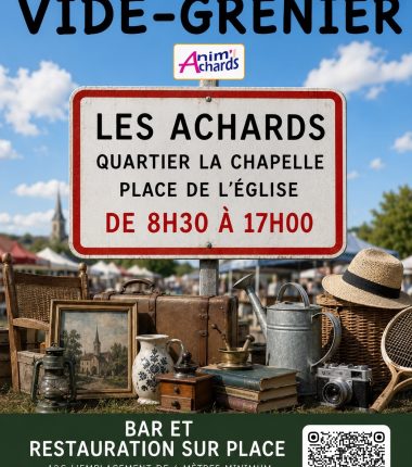 Vide-grenier