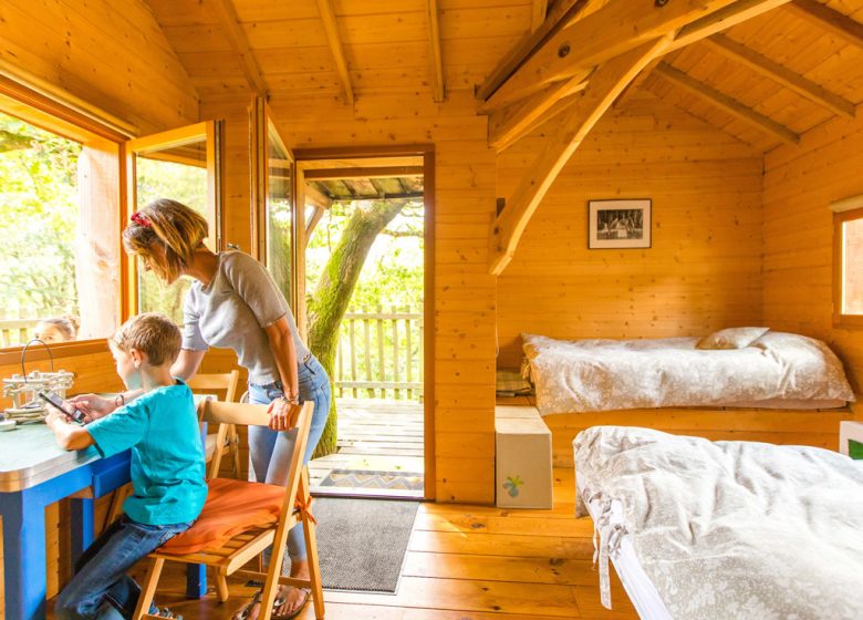 AAN DE RAND VAN DE EIKEN – DE CÉLESTE CABIN