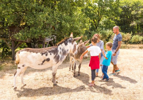 À l’Orée des Chênes – La Pyramide Home