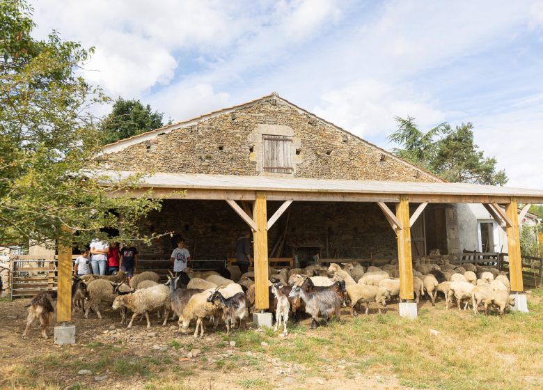 Visites producteurs – Ferme de la Chancelière
