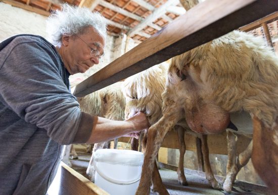 LA FERME DE LA CHANCELIERE