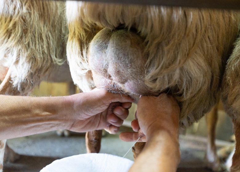 PRODUCENT BEZOEKEN – FERME DE LA CHANCELLIÈRE