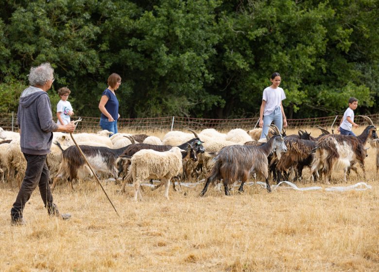 PRODUCENT BEZOEKEN – FERME DE LA CHANCELLIÈRE