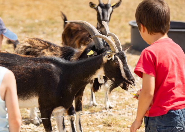 PRODUCER VISITS – FERME DU GRAND BOIS