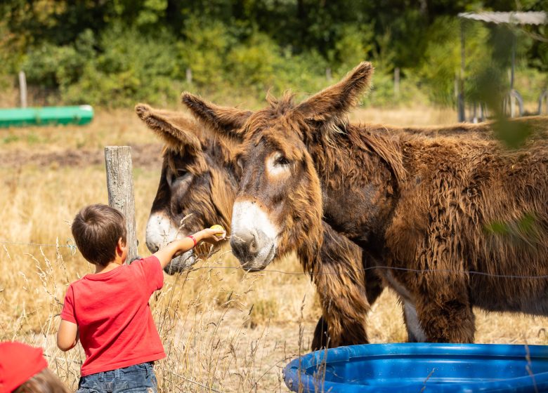 PRODUCER VISITS – FERME DU GRAND BOIS