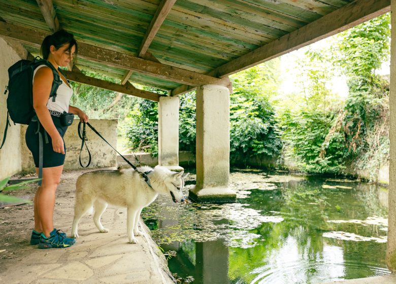 LAVOIR