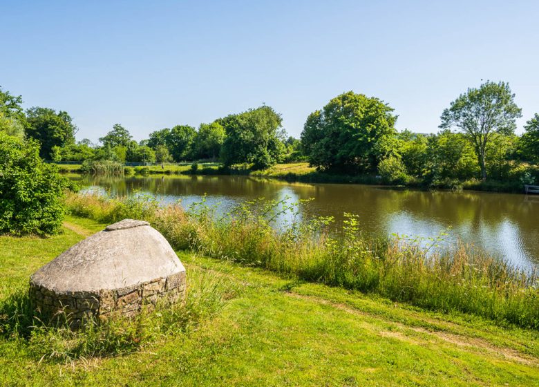 PICKNICKPLATZ DES BIBROU-WASSERPLANS