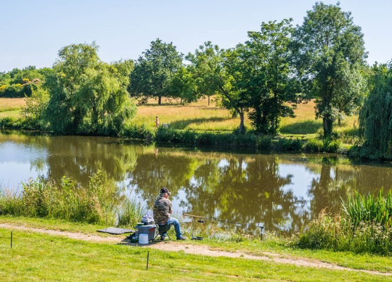 PICKNICKZONE VAN HET BIBROU WATERPLAN