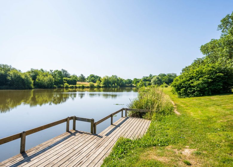 PICKNICKZONE VAN HET BIBROU WATERPLAN