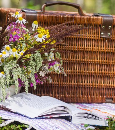 Aire de pique-nique du Pont de La Doucerie