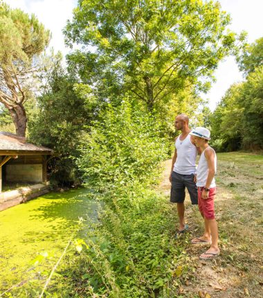Aire de pique-nique du Lavoir