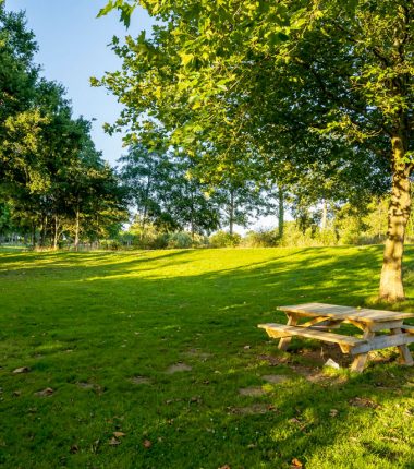 Aire de pique-nique du Plan d’eau des Garnes