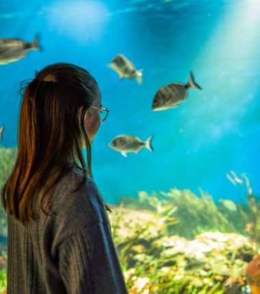 Aquarium de Vendée