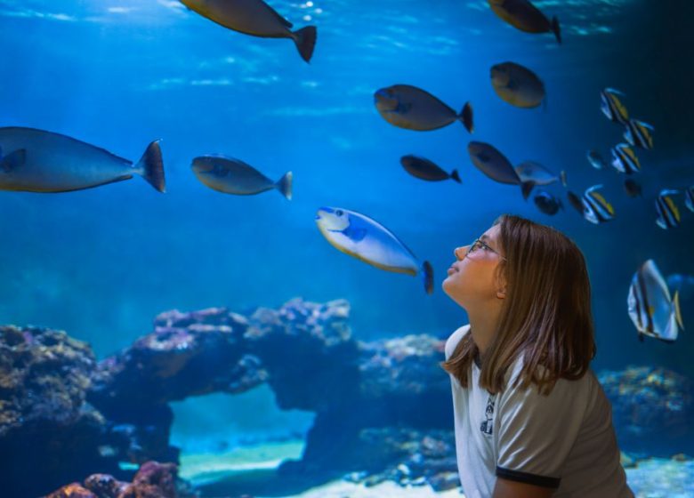 Aquarium de Vendée