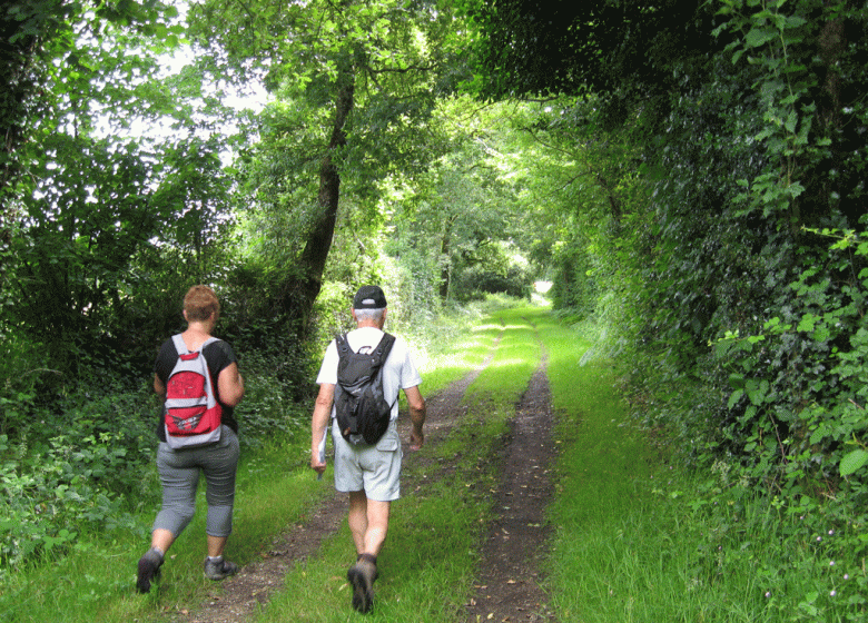 FOREST OF SAINTE FLAIVE DES LOUPS