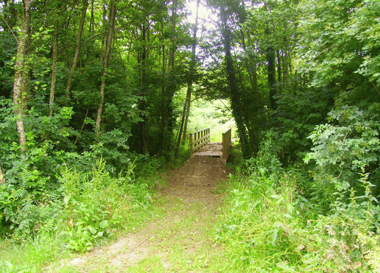 WALD VON SAINTE FLAIVE DES LOUPS