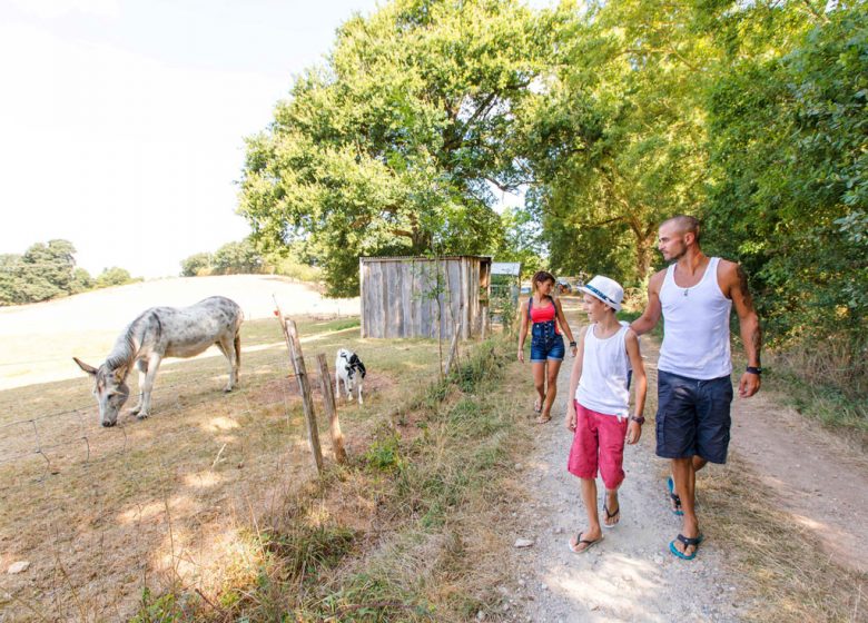 CAMPING LA BERGERIE