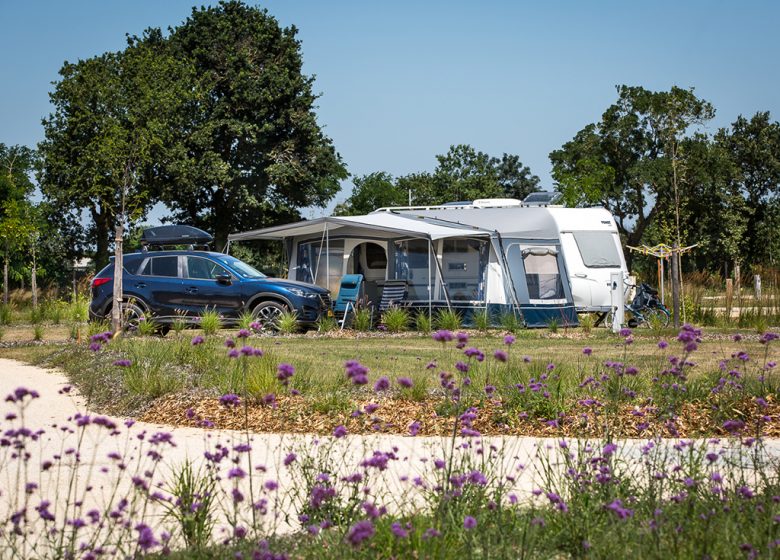 CAMPING YELLOH VILLAGE LE PINE PARASOL