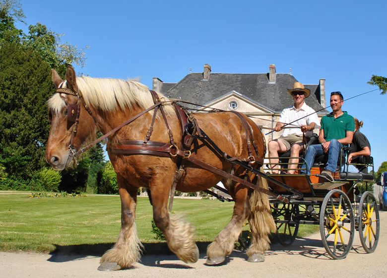 LA GARANGEOIRE EQUESTRIAN CENTRE