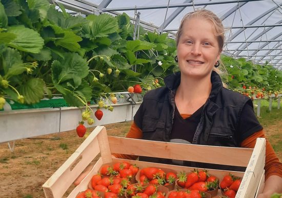 ÉLEVAGE DES ARONDES