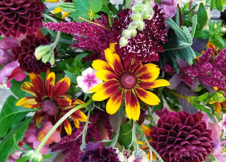 LES SINGULIÈRES FLORAL FARM