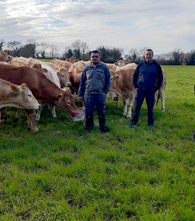 GAEC LES AIGREFEUILLES